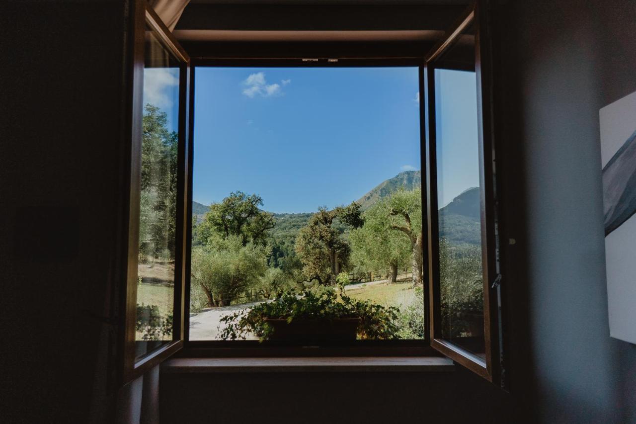 Tenuta Terre Di Bosco Oasi Di Relax Nel Cilento San Giovanni a Piro Exterior photo