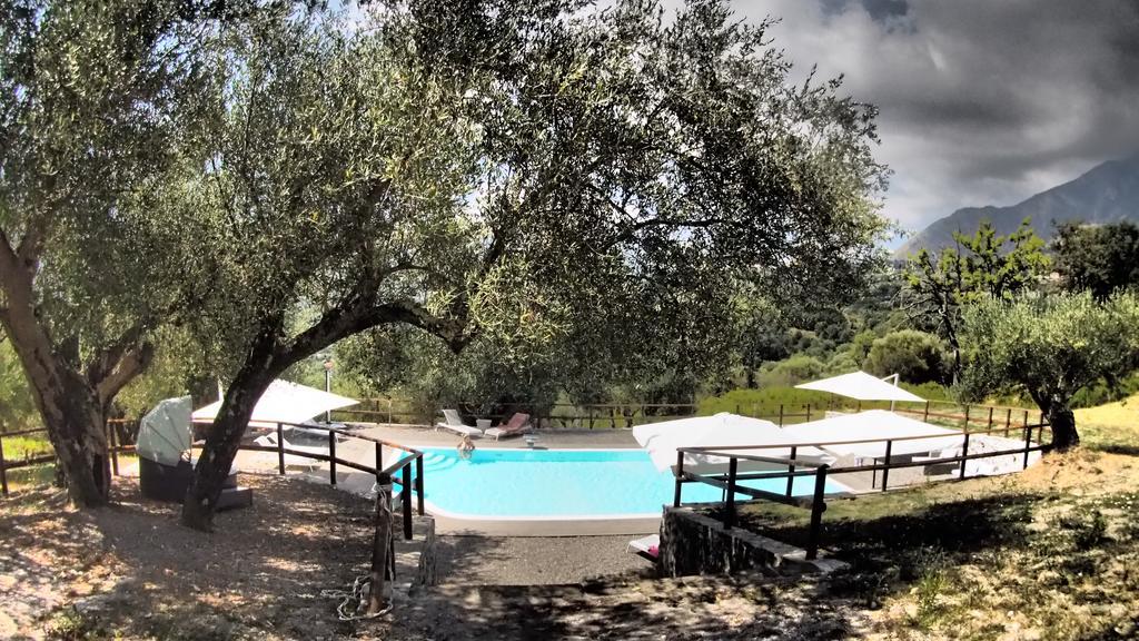 Tenuta Terre Di Bosco Oasi Di Relax Nel Cilento San Giovanni a Piro Exterior photo