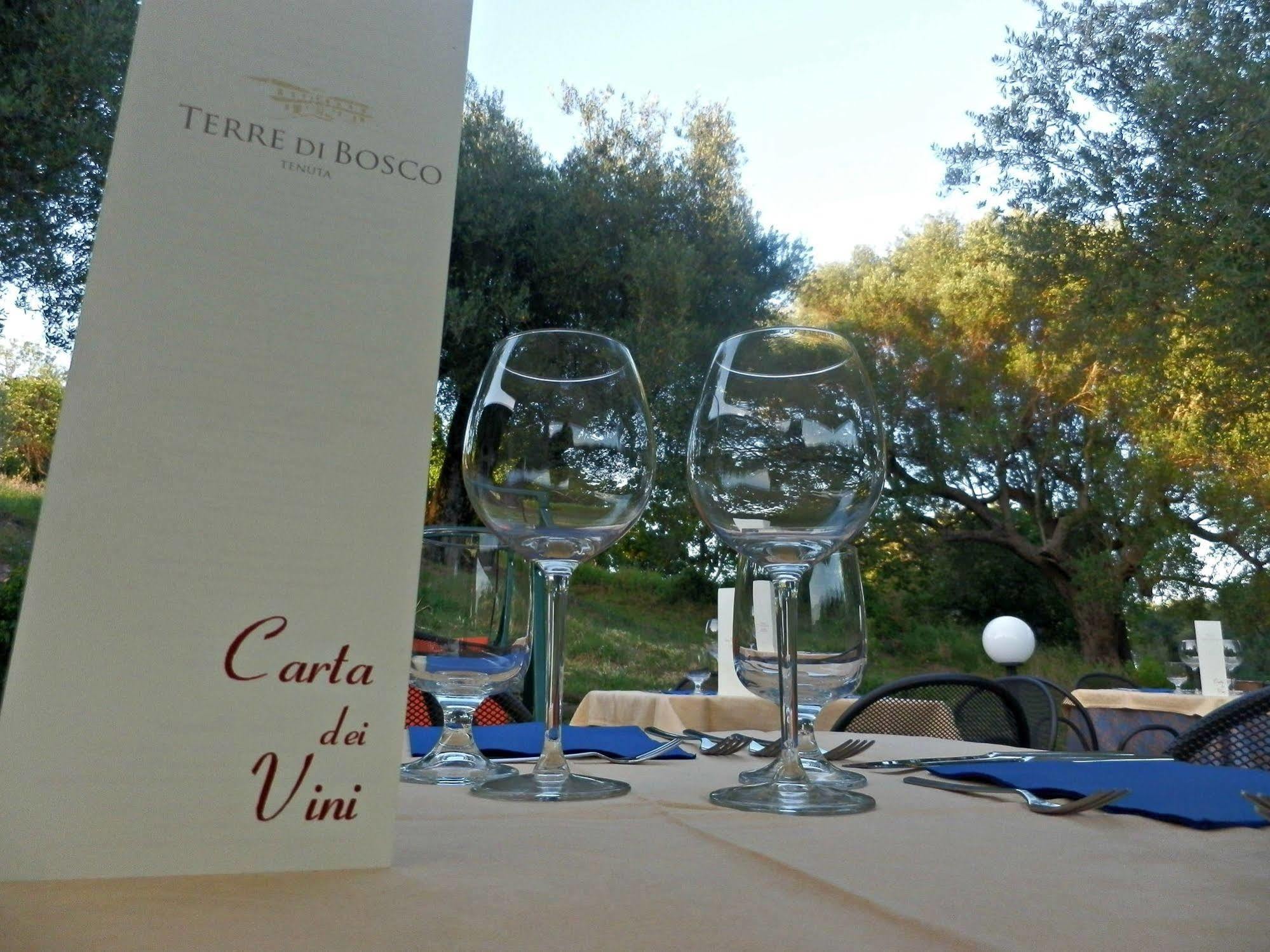 Tenuta Terre Di Bosco Oasi Di Relax Nel Cilento San Giovanni a Piro Exterior photo